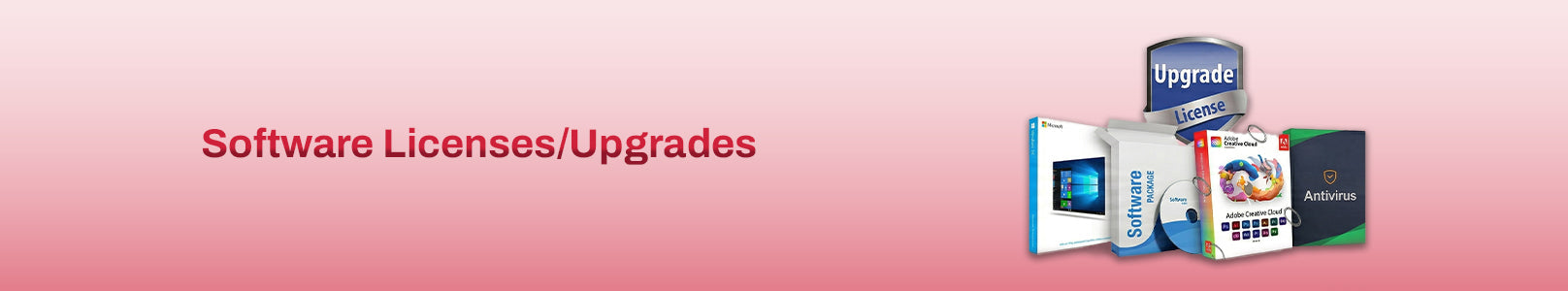 Software Licenses/Upgrades