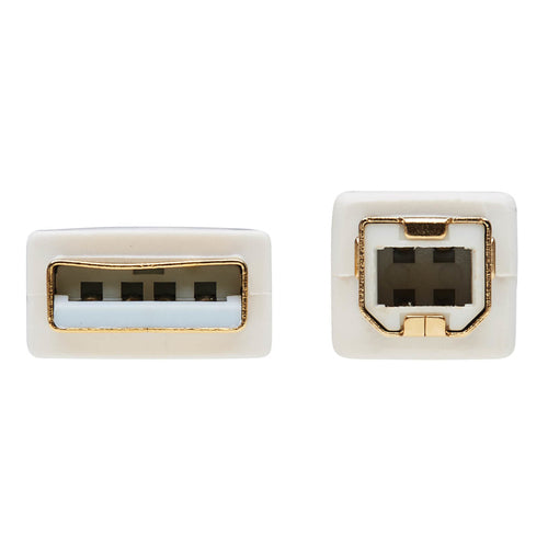 Tripp Lite U022AB-006-WH USB cable