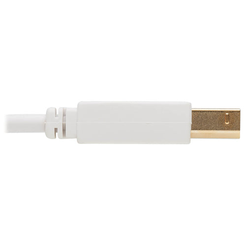 Tripp Lite U022AB-006-WH USB cable